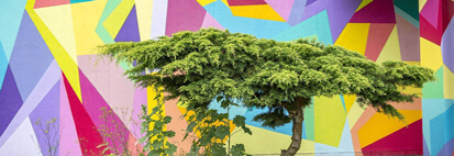 DU GRAFFITI A L'ECOLE POUR LA SEMAINE DES ARTS