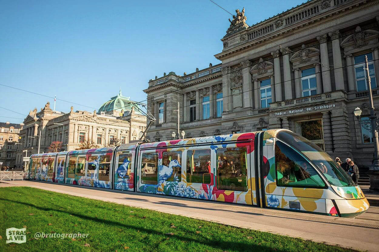Tram habillé par Missy, artiste strasbourgeoise